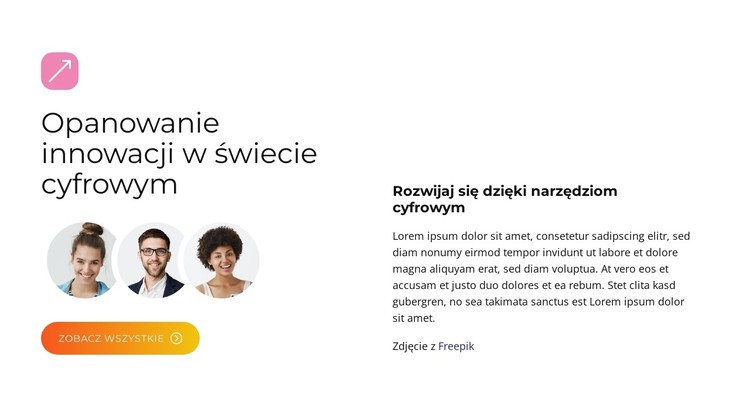Rozwiązania BrandBoost Szablon CSS