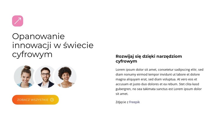 Rozwiązania BrandBoost Szablon witryny sieci Web