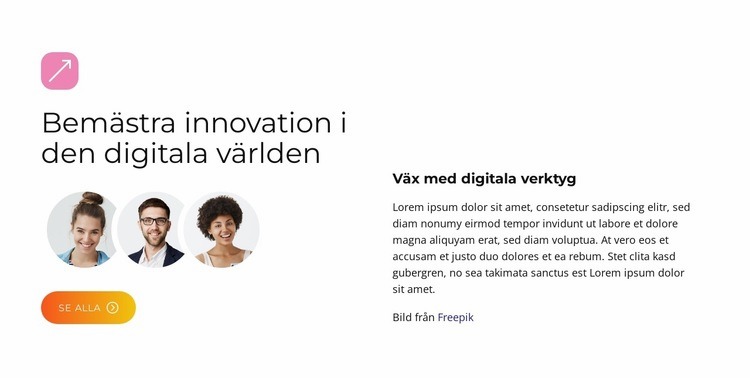 BrandBoost Solutions HTML-mall