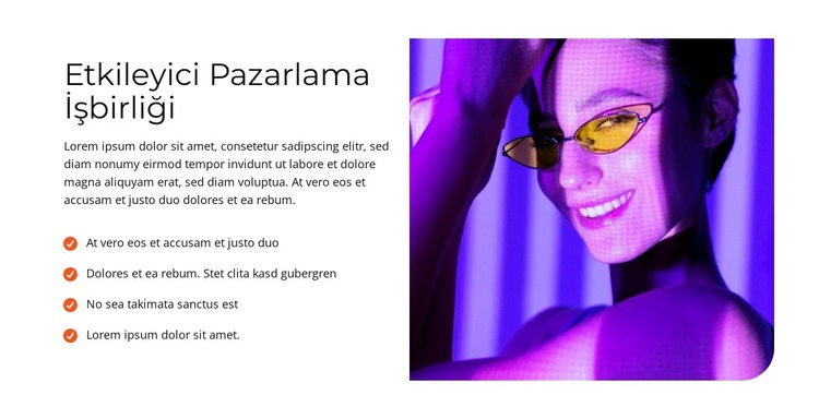 Vizyoner Webworks HTML Şablonu