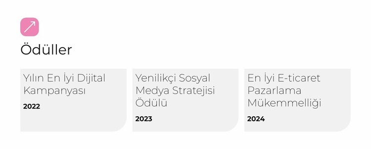 NextGen Pazarlama Laboratuvarı Web sitesi tasarımı