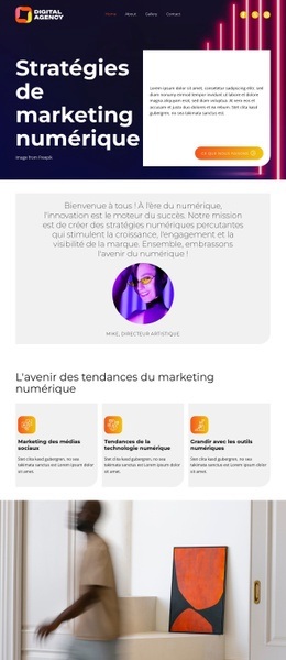 Stratégies De Marketing Numérique