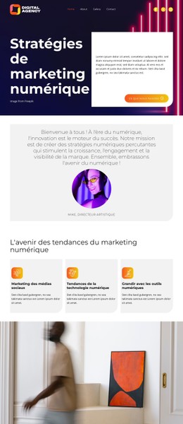 Stratégies De Marketing Numérique