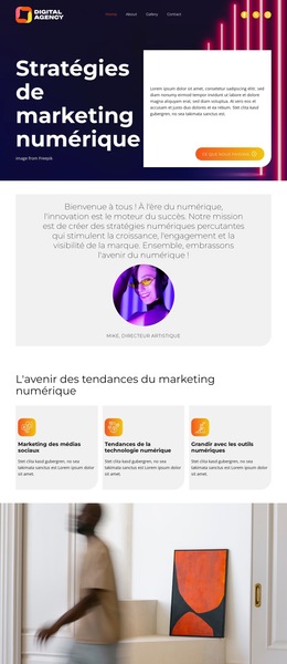 Stratégies De Marketing Numérique