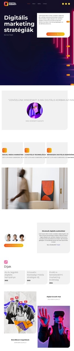 Digitális marketing stratégiák Sablonok