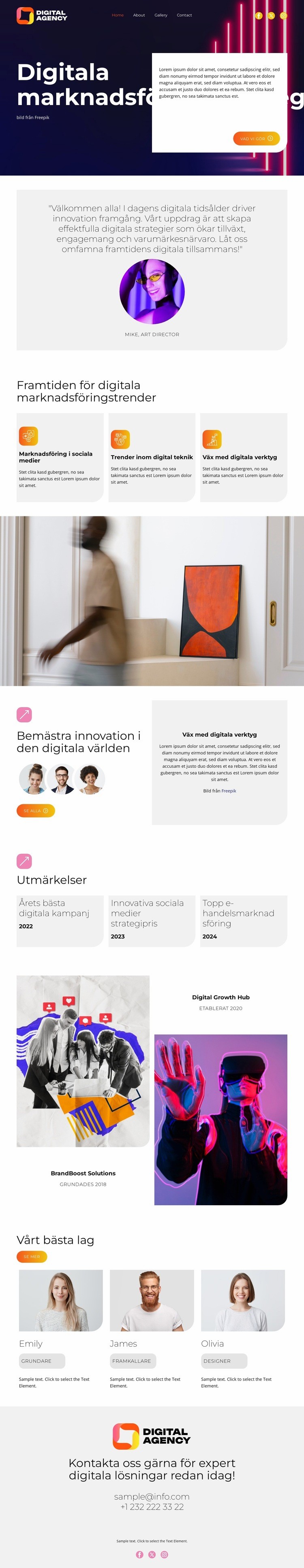 Digitala marknadsföringsstrategier Mall