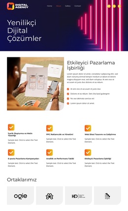 Dijitalin Geleceği WordPress Teması