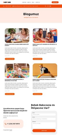 Bebek bakıcılığı blogu Web Sitesi Tasarımları