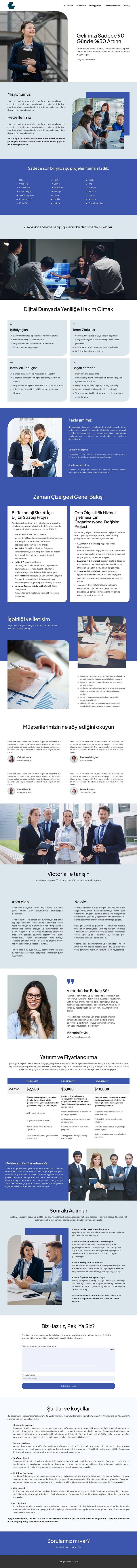 Yatırım teklifi CSS Şablonu