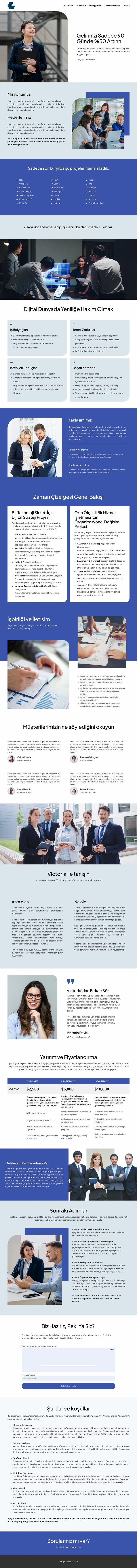 Yatırım teklifi Bir Sayfa Şablonu