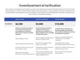 Investissement Et Tarification
