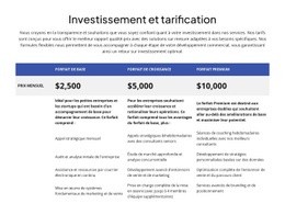 Investissement Et Tarification