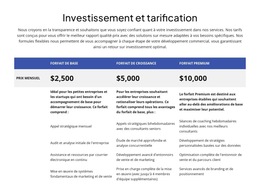 Investissement Et Tarification