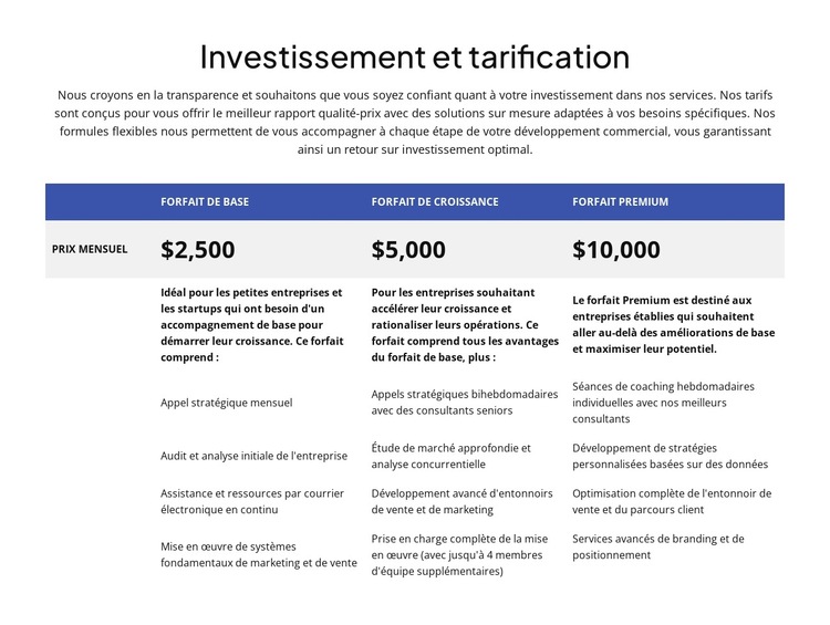 Investissement et tarification Modèle de site Web