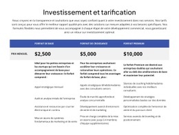 Investissement Et Tarification