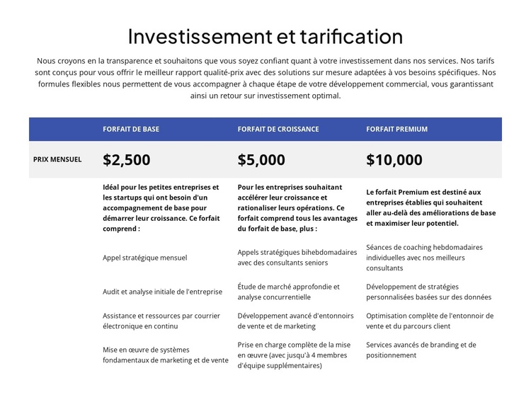 Investissement et tarification Thème WordPress