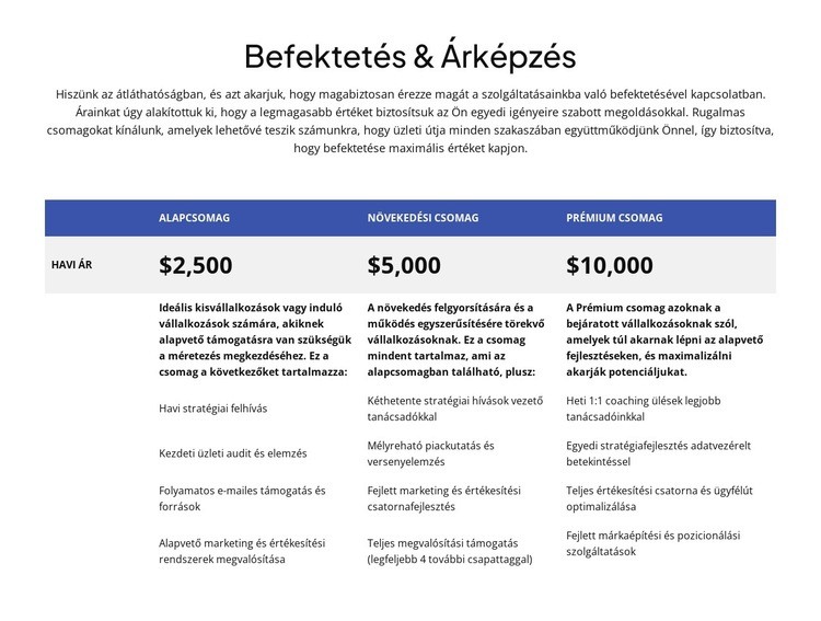 Befektetés és árképzés HTML Sablon