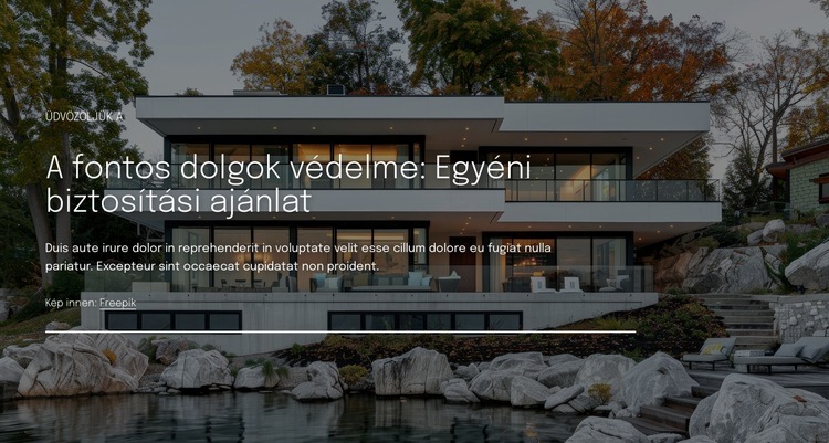 Egyedi biztosítási ajánlat Sablon