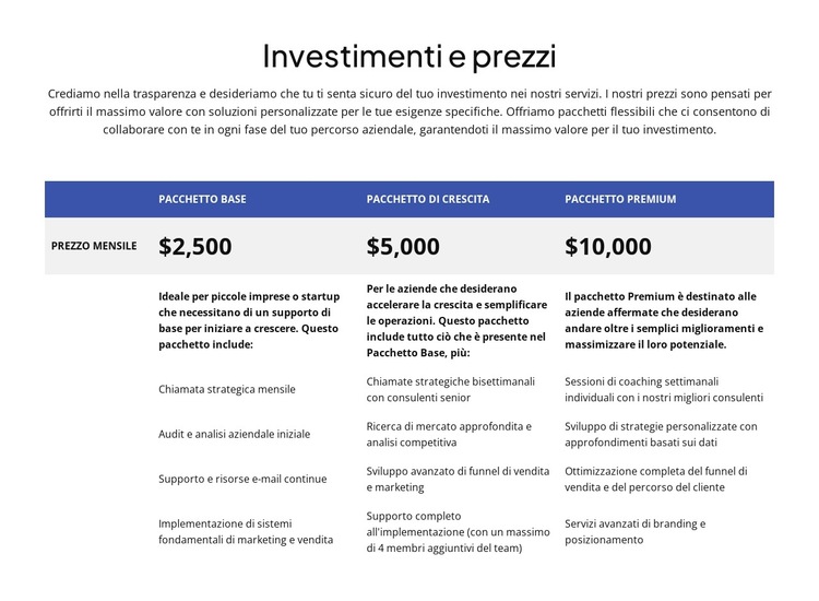 Investimenti e prezzi Modello di sito Web
