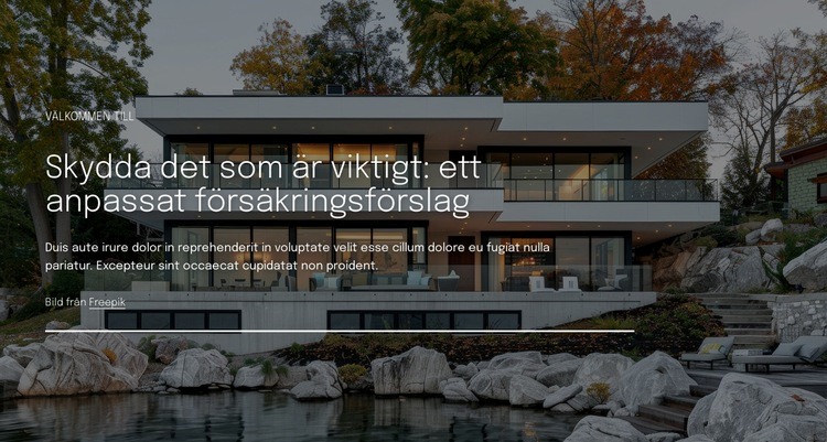 Anpassat försäkringsförslag Mall