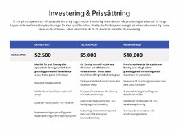 Investeringar Och Prissättning