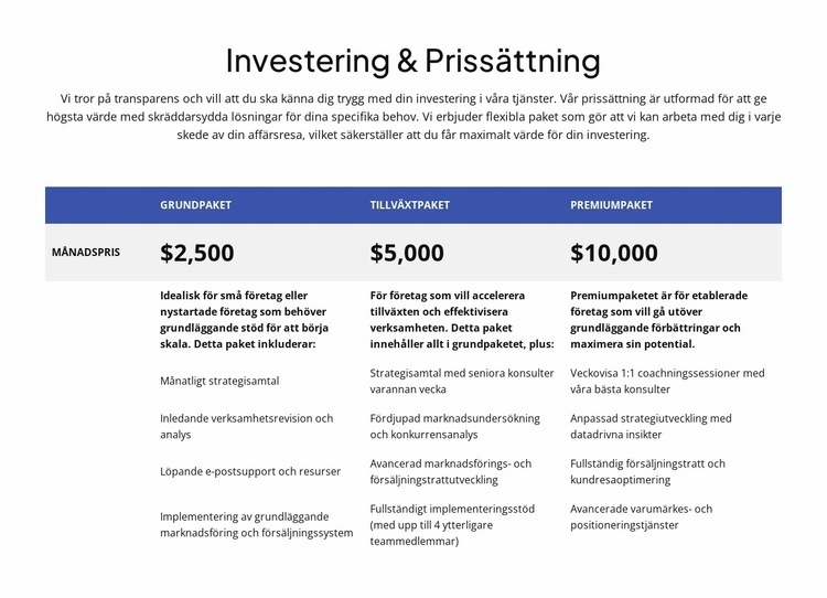 Investeringar och prissättning Webbplats mall