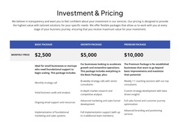 Investment And Pricing Template