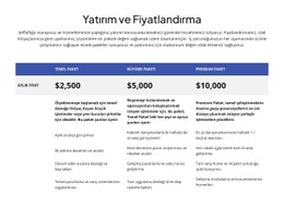 Yatırım Ve Fiyatlandırma