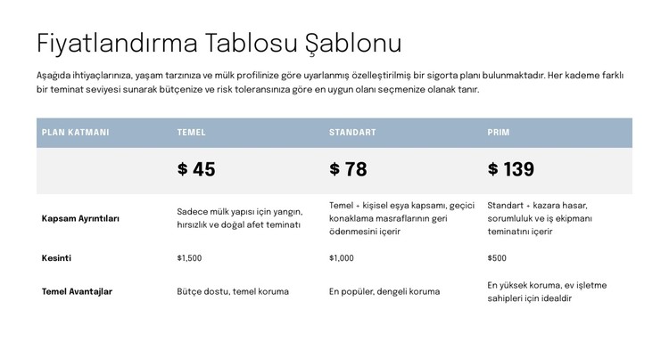Teklif sayfası için fiyatlandırma tablosu CSS Şablonu
