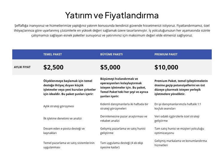 Yatırım ve fiyatlandırma HTML Şablonu