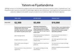 Yatırım Ve Fiyatlandırma