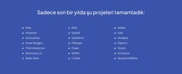 Son Zamanlarda Tamamlanan Projeler