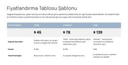Teklif Sayfası Için Fiyatlandırma Tablosu