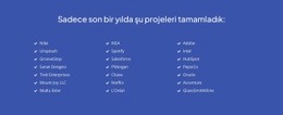 Son Zamanlarda Tamamlanan Projeler