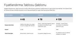 Teklif Sayfası Için Fiyatlandırma Tablosu