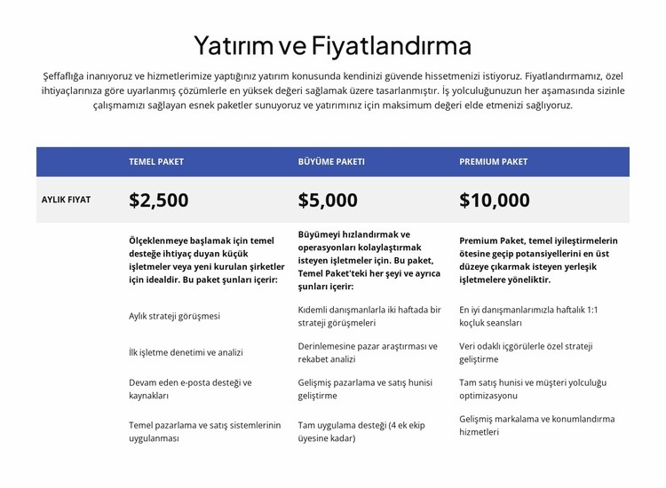 Yatırım ve fiyatlandırma Bir Sayfa Şablonu