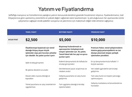 Yatırım Ve Fiyatlandırma Web Sitesi Şablonu