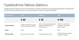 Teklif Sayfası Için Fiyatlandırma Tablosu