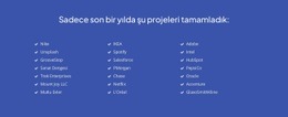Son Zamanlarda Tamamlanan Projeler