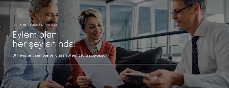 Kişiselleştirilmiş sigorta teklifi WordPress Teması