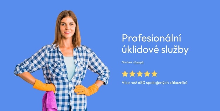 Profesionální úklidové služby Šablona webové stránky