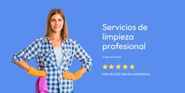 Servicios De Limpieza Profesional