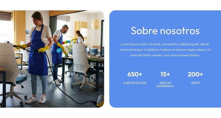 Acerca de la empresa de limpieza Plantilla de una página
