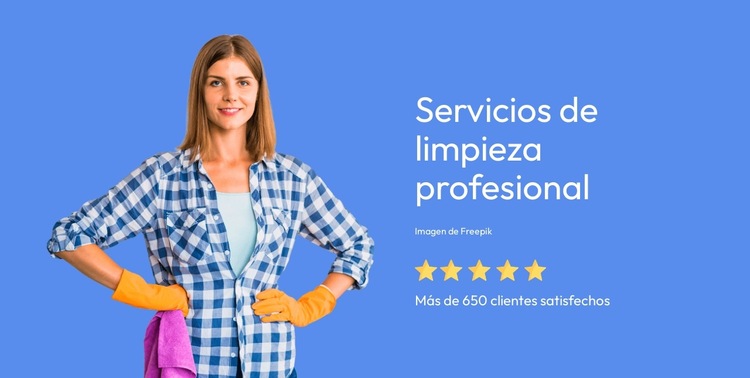 Servicios de limpieza profesional Plantilla de sitio web