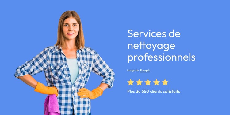 Services de nettoyage professionnels Modèle CSS