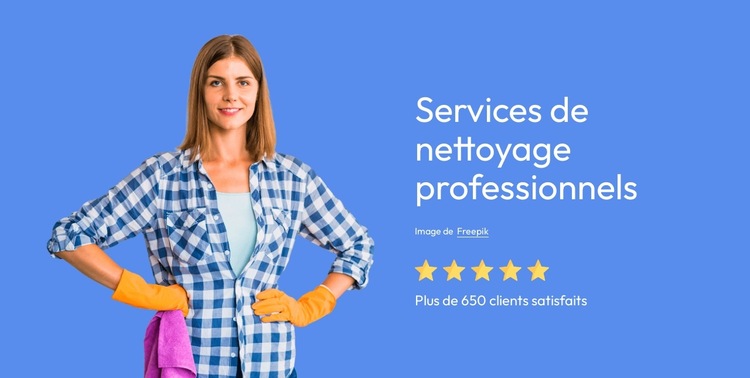 Services de nettoyage professionnels Modèle de site Web