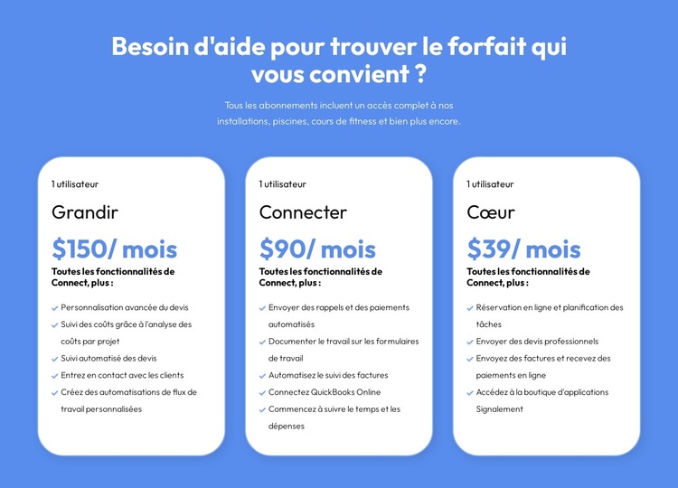 Des plans flexibles pour chaque client Thème WordPress