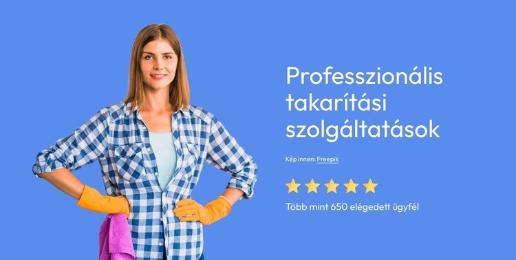 Professzionális takarítási szolgáltatások Weboldal sablon