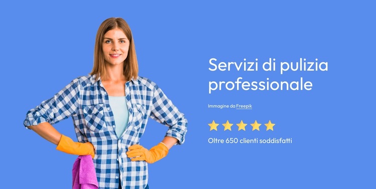 Servizi di pulizia professionale Modello di sito Web
