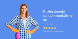Professionele Schoonmaakdiensten